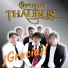 Thaurus