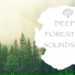 Natural Spirit, Thunderstorms
