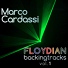 Marco Cardassi