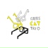 Caius Cat Trio