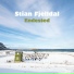 Stian Fjelldal