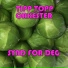 Tipp topp orkester