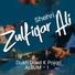 Zulfiqar Ali Shehri