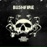 Bushfire