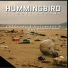 Hummingbird feat. Kendall WA