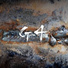 Guilt4or
