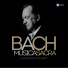 Nikolaus Harnoncourt feat. Arnold Schoenberg Chor