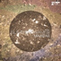 MaxStar