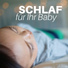 Schlaf Elefant