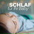 Schlaf Elefant