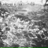 Pacius Elter