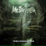 Metaphilia