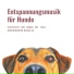 Entspannungsmusik Dream
