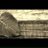 Cartesiain