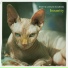 Basto, Lazy Jay feat. DJ Basik