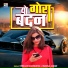 Krishan Sanwariya, Vandana Jangir