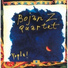Bojan Zulfikarpasic