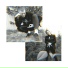 TEDI