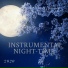 Instrumental Night-Time