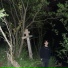 Photon