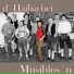 D' Haibacher Musiblos'n