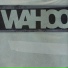 Wahoo