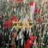 Kabuki feat Cleveland Watkiss