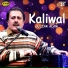 Gulzar Alam