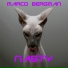 Marco Bergman