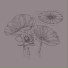 mrkgnao feat. Sonder