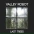 Valley Robot