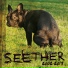 seether