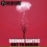 Brunno Santos