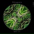 Polygonia