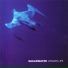 Shearwater