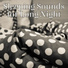 Sleep & Dream Academy