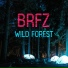 BRFZ