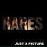 Hares
