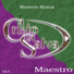Ministerio Musical Cristo Te Salva