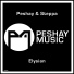 Peshay, Steppa