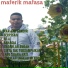 maferik mafasa