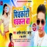 Ashish Pandey Ayush, Rekha Ragni