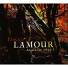 Pascal Lamour