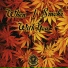 Kin Riddimz, Jahmmi Youth