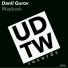 Danil Gurov