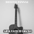 Srikanth Ramesh