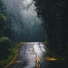 Relaxing Music Therapy, Yoga, Deep Sleep