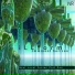 iLLform