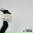 INTROVERA