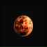 Chez Moon
